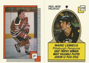 1988-89 O-Pee-Chee Sticker 81 / 210 Pat Verbeek / Brett Hull AW, MV recto